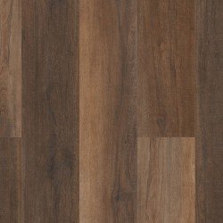 COREtec Pro Plus XL Enhanced HD - Cheshire Elm